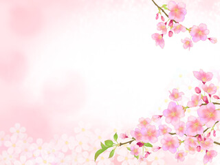Obraz na płótnie Canvas 桜の枝とピンクの小花の背景フレーム