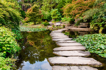 japanese garden with stone bridge