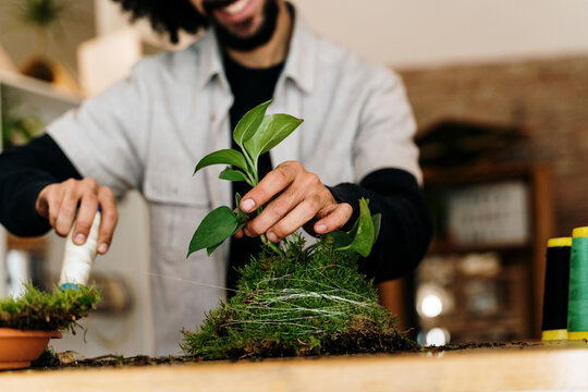 Man tying thread over kokedama plant on table at home