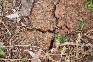 full frame of dry cracked earth