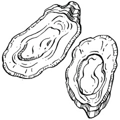 Oysters vector with engraving style illustration of logo or emblem for design seafood menu, lunch. Classic American steakhouse or French bistro appetizer.