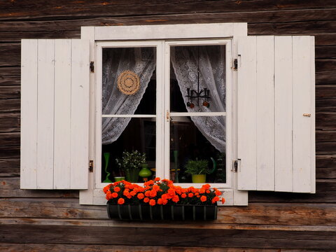 Window with wooden shutters, Scandinavian white old window with flower pot and decorated curtains in cottage, Öjebyn, Sweden