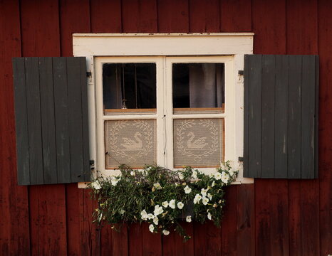 Window with wooden shutters, Scandinavian white old window with flower pot and decorated curtains in cottage, Öjebyn, Sweden