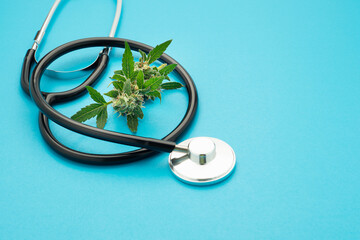 Cannabis buds flower and stethoscope isolated on a blue background