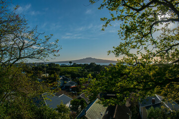 verdant