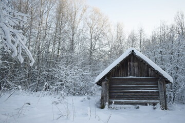 Fototapeta na wymiar wooden house in the forest