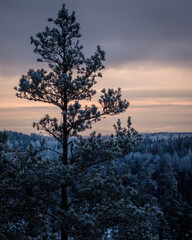 sunset in the mountains