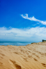 sand beach and blue sky