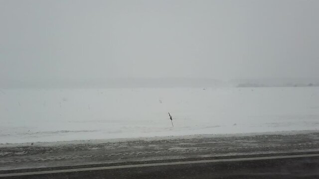Steadicam shot from left side of car driving on a siberian intercity highway when strong wind and heavy snowstorm in evening. Field on side of the road with forest in distance