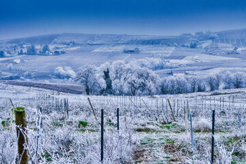 Winter in Beaujolais France