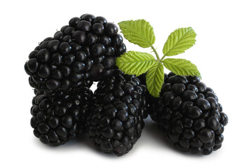 Fresh blackberry with green leaf