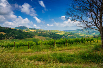 Country landscape near Monterubbiano, Marche, Italy