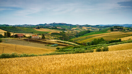 Fototapeta premium Country landscape near Offida, Marche, Italy