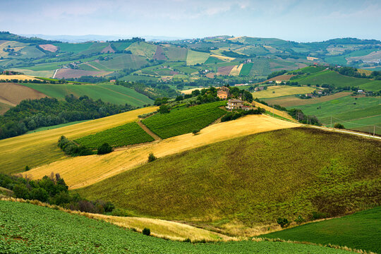 Country landscape near Ripatransone, Marche, Italy