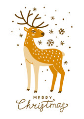 Christmas greeting card with cute deer isolated on white background