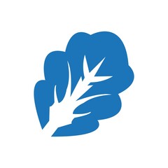 Obraz premium Lettuce icon ( vector illustration )
