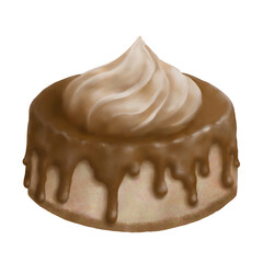 The chocolate cake with single meringue