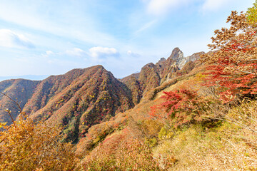 秋の根子岳　熊本県阿蘇市　Mt. Neko in autumn.  Kumamoto-ken Aso city
