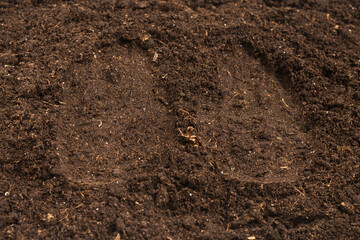 Woman hand trace on a ground.