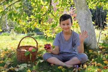 happy boy outdoors in autumn garden with apples