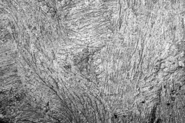 Сoncrete surface texture and background in black and white.