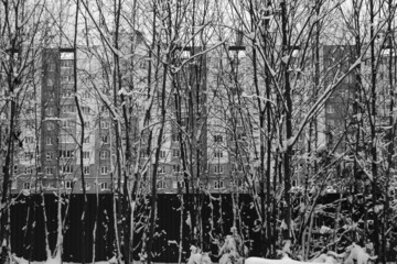 Trees under snow and residential building in black and white.