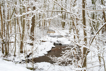 Stream with open water in a frosty woodland