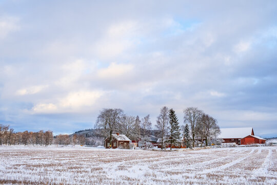 Landscape view at a farm on a field with snow and frost