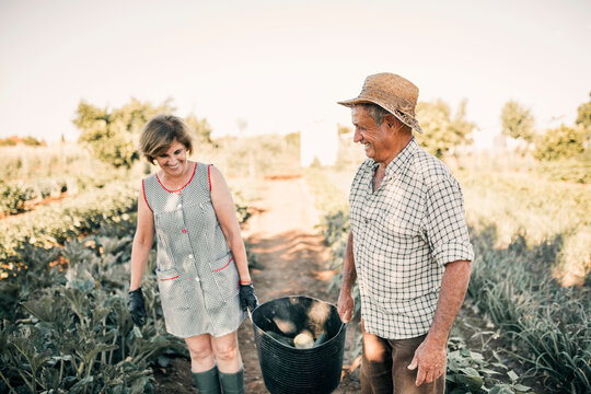 Smiling Senior Couple Holding Vegetable Basket At Farm