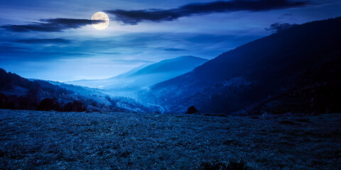 rural landscape at night. beautiful summer mountain scenery. green grassy meadow on the hillside in...