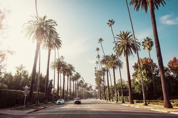 Foto op Plexiglas Beverly Hills Palmen straße  © romanb321