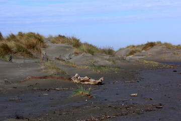 sur la plage