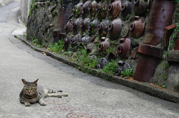 焼き物のオブジェのある小道と猫