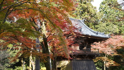 秋の紅葉の風景