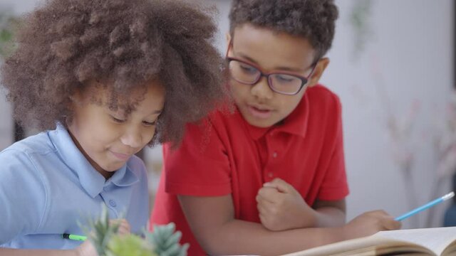 Elementary school student helping friend with task, two kids studying together