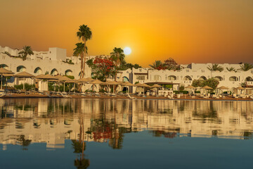 Fototapeta premium Calm beach on the red sea of Sharm El Sheikh during sunrise, Egypt