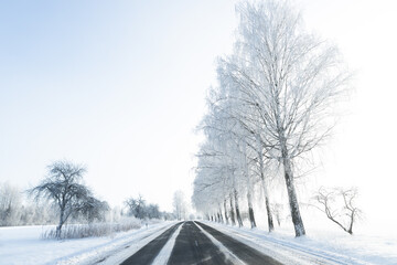 Fototapeta na wymiar snow covered road in winter frozen birch trees alley blue sky sunshine wonderland narrow road white center line