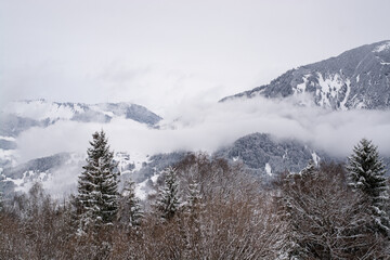 Winterlandschaft