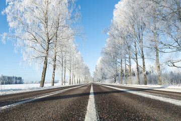 snow covered road in winter frozen birch trees alley blue sky sunshine wonderland narrow road white center line symmetry 