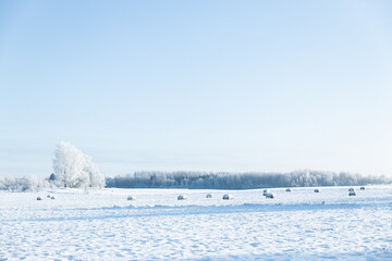 Fototapeta na wymiar bail of hey field stack, hay bale agriculture nature rural winter scene frozen snow covered sun shine 