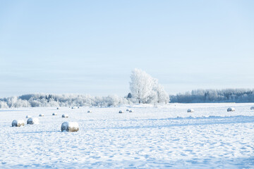 Fototapeta na wymiar bail of hey field stack, hay bale agriculture nature rural winter scene frozen snow covered sun shine 