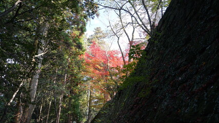 書写山 圓教寺の風景　秋