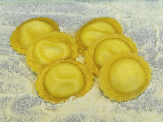 composition of six handmade ravioli