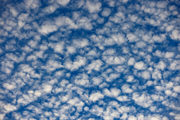 Cloudscape of altocumulus clouds
