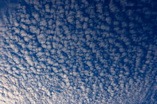 Cloudscape ofaltocumulus clouds at dusk