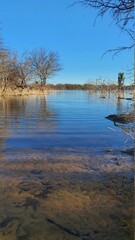 reflection of trees in water