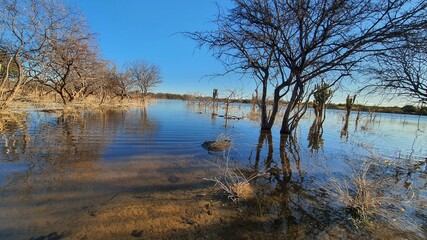 reflection in the water