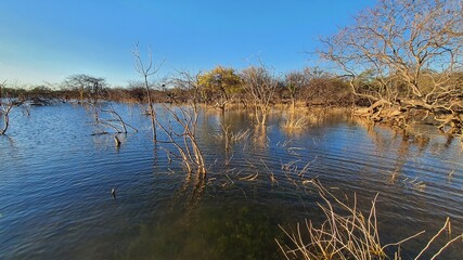 reflection in the lake