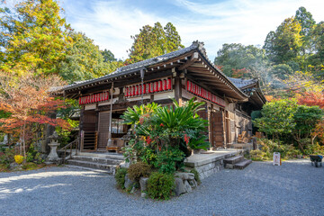 Naklejka premium 八大神社