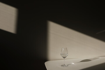 a glass of white wine or champagne. Chiaroscuro from the window. Close-up, copy space